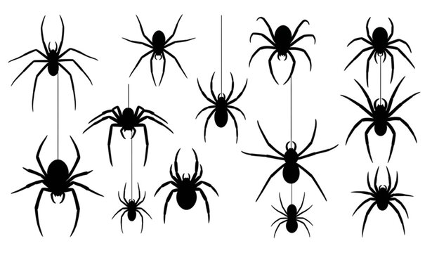 Set of Black Spider Silhouettes Hanging from Webs for Halloween, Spooky Decorations, and Creepy Illustrations