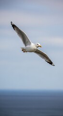 Fototapeta premium A majestic white bird with outstretched wings soars against a soft blue sky over calm water