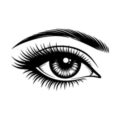 Obraz premium Silhouette of a beautiful female eye with makeup and long eyelashes