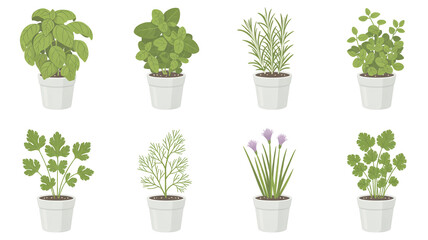 Fototapeta premium A set of eight potted herbs arranged in two rows against a white background.