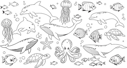 Fototapeta premium Vintage zoological illustration a collection of whales dolphins and fish sketches