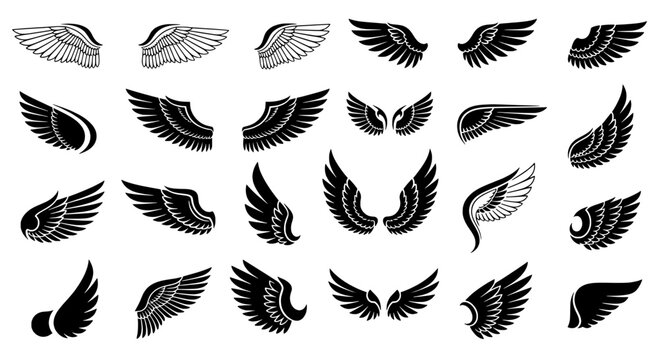 Wings set with various designs and styles for artistic and symbolic use featuring black and white, vector, illustration with graphic and design