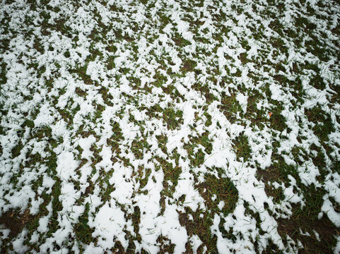 White snow on the green lawn background