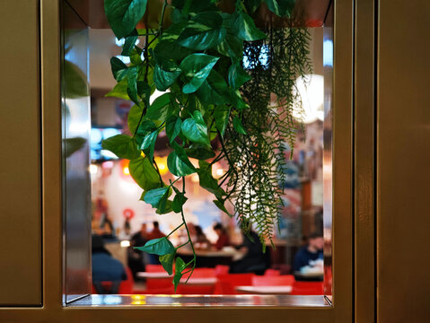 Green flora leafs room interior background