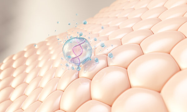 cosmetic serum droplet with a DNA double helix inside falling onto a hexagonal skin cell structure 3D rendering.