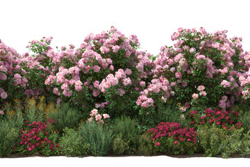 Obraz premium A vibrant garden scene featuring a variety of colorful flowers and lush greenery in full bloom against a Transparent background PNG.
