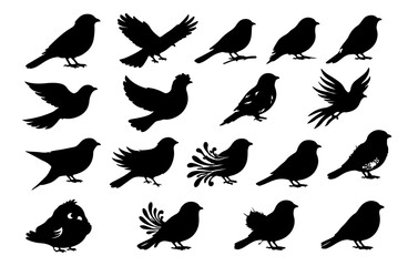 Fototapeta premium Birds silhouettes Collection