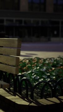 A wooden bench is shown next to a bed of flowers in a public space during the night. The area is quiet, and no people are present. Streetlights illuminate the surroundings slightly.