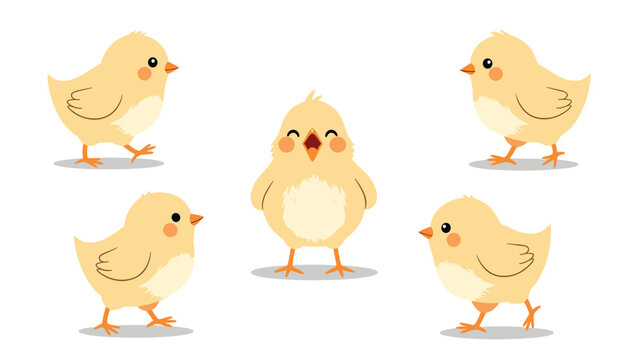 Group of small cute yellow baby chicks in various poses including walking standing and chirping on white background.