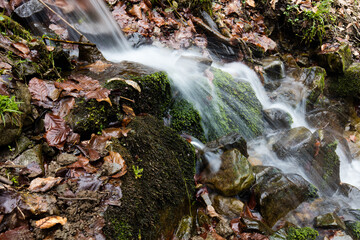 Mały górski strumień pośród starego lasu © kubikactive