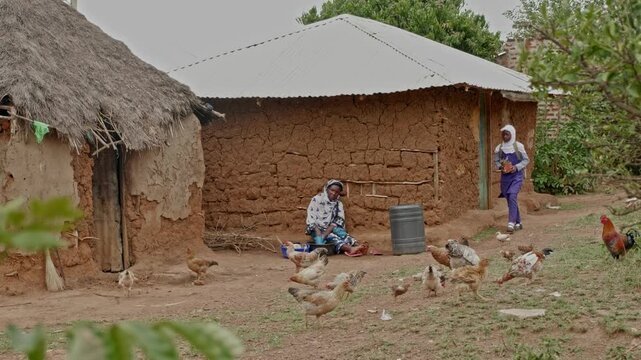 Chickens roam freely in a rural African village as a woman performs daily chores. The scene reflects small-scale rural economy, self-sufficiency, and traditional village living.