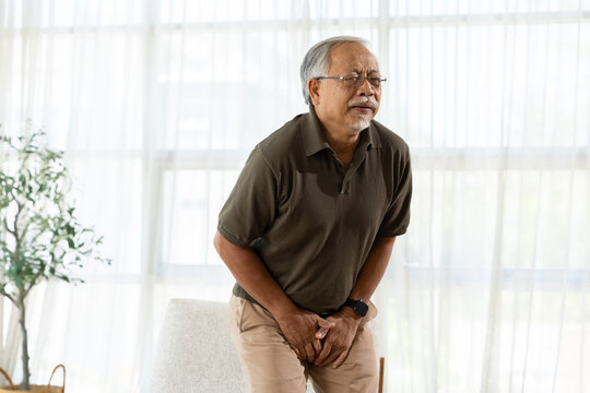 Senior man experiencing pain in prostate and urinary bladder holding crotch showing distressed emotional expression suffering from incontinence medical problem at home standing near window
