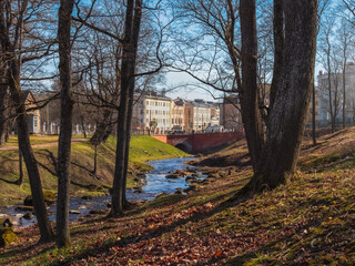 Fototapeta premium Stream winds through leaf-strewn banks. Spring in Oranienbaum.