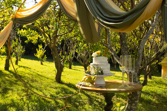 Two-tier white cake sitting on white stand on small round pedestal table in orchard, draped hoop