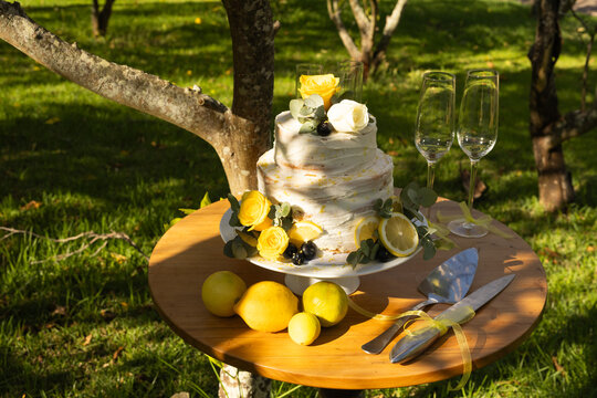 Two-tier semi-naked buttercream cake sitting on pedestal by tree in orchard with roses, lemons