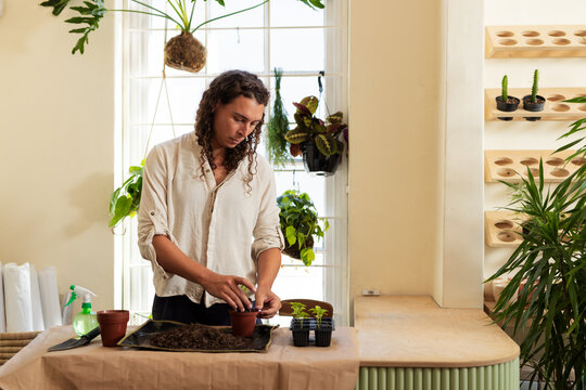 African American adult standing at plant bench on kraft paper planting seedlings using potting soil