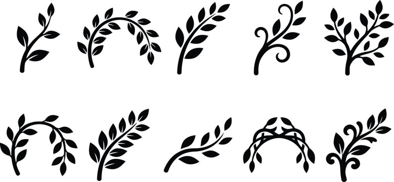 Elegant botanical branch and leaf vector set. Features various natural elements like olive branches, laurel wreaths, and decorative foliage. Ideal for wedding invitations, logos, and organic designs.