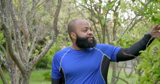 African American man seeing fruit checking twig stepping back hands-on-hips laughing blue tee yard