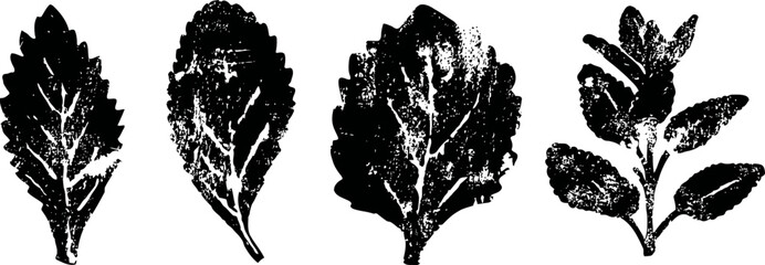 Obraz premium four textured black silhouette leaves with detailed vein patterns and natural shapes
