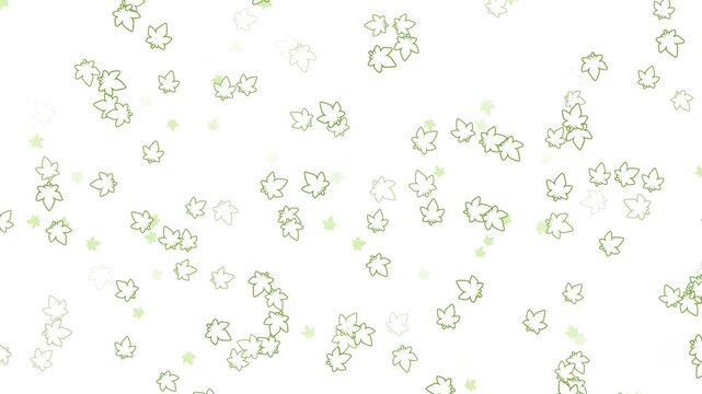 新緑 もみじ 枠 下降 若葉色 パターン01 ループ（白背景）