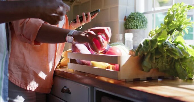 Grocery crate arriving, couple sorting and inspecting produce for storage at sunlit counter