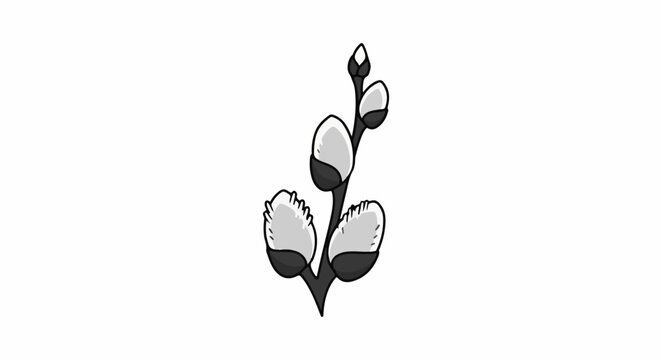 Black and white illustration of a pussy willow branch with buds