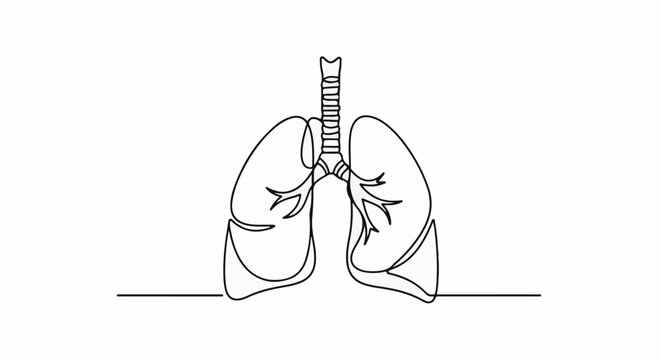 Minimalist outline drawing of human lungs and trachea on white background