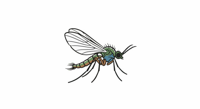 A cartoon illustration of a green and brown mosquito with wings extended