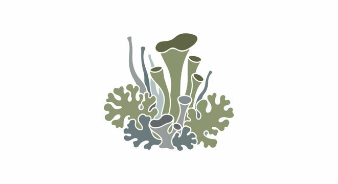 A stylized illustration of clustered lichen and coral-like growths