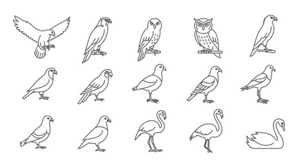 Fototapeta premium Various Bird Illustrations in Different Poses.