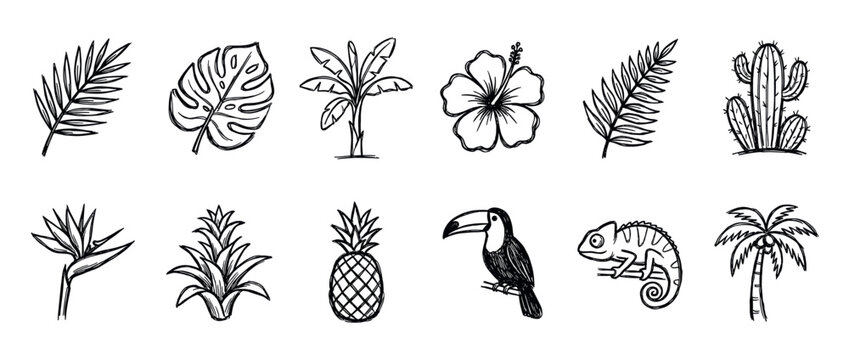 Set of hand-drawn tropical icons featuring a toucan, chameleon, pineapple, palm tree, monstera leaf, and hibiscus flower in a simple black and white doodle sketch style