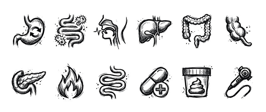 Hand drawn sketch icon set of digestive system organs and gastroenterology symbols for medical concepts, featuring stomach, liver, intestine, pancreas, and treatment illustrations