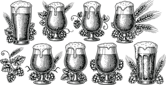 Assorted beer glasses with hops and barley during a celebratory toast