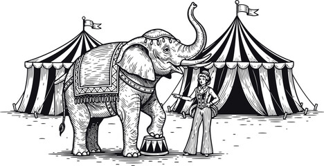 Circus elephant stands with trainer before striped tents in vintage engraved style © Ishtiaq