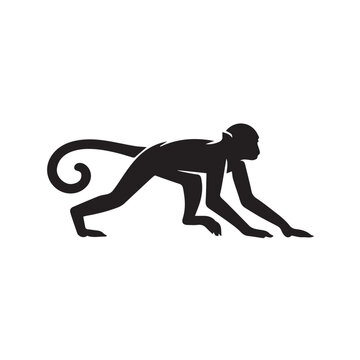vector illustration of a monkey