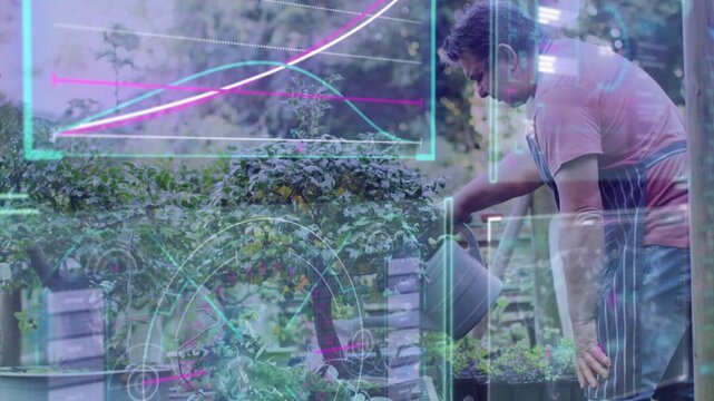 Vertical video: Senior man tilting can, pouring pots for plant care while HUD graphs guiding pours