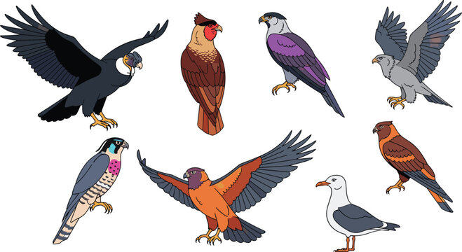 Birds of prey species and colorful raptor wildlife flat icon set