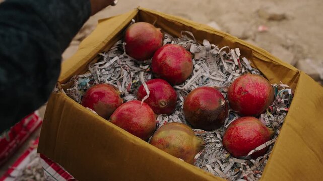 indian fruits and vegetable market potato onion graoes banana