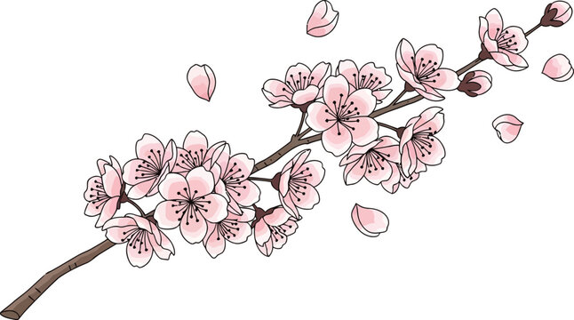 Pink cherry blossom branch with falling petals pink flowers floral