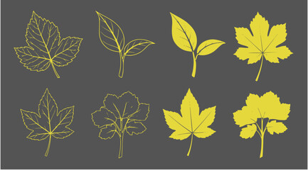 Obraz premium A set of eight yellow leaves in various styles and shapes on a dark grey background in a vector graphic illustration