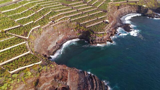 Aerial View Banana Plantations at Sunset La Palma Canary Islands Spain; Agriculture Farming Food Production and Summer Sunset