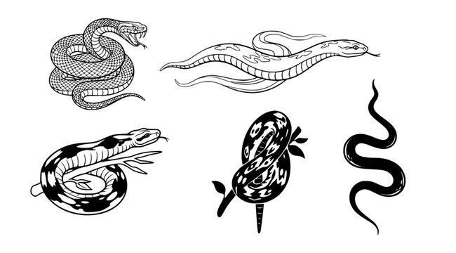 A set of five different black and white snake illustrations in various styles and poses on a white background