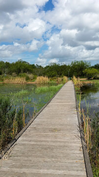 Estero Llano Grande State Park in Texas