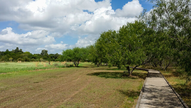Estero Llano Grande State Park in Texas