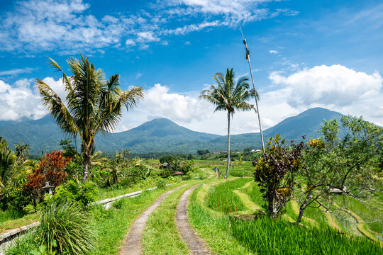 Jatiluwih Rice Terraces: UNESCO Cultural Landscape and Traditional Subak Irrigation in Bali