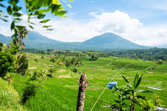 Jatiluwih Rice Terraces: UNESCO Cultural Landscape and Traditional Subak Irrigation in Bali