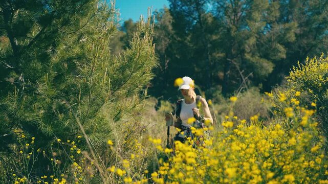 Young woman with a backpack and trekking poles navigating with a paper map in a blooming forest.Concept of exploration, survival, focus and choosing the right path in outdoor wilderness.