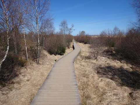 The high fens in Belguim