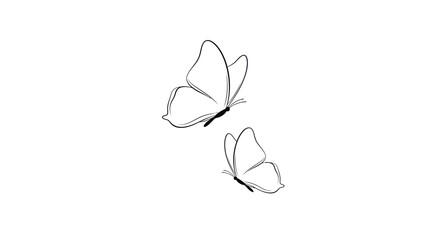 Two delicate butterflies in flight a minimalist design on transparent background silhouette © MDEmon