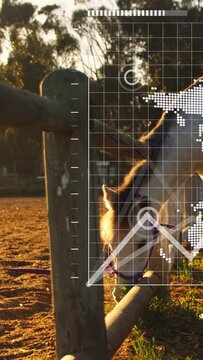 Vertical video: UI grid appearing, camera panning, vet tracking purple-halter horse grazing fence